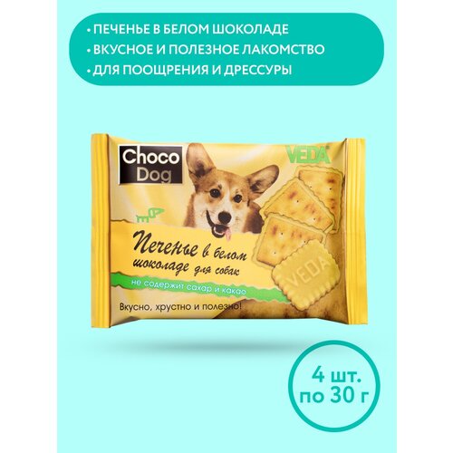  CHOCO DOG    ,   , 4 , VEDA   -     , -  