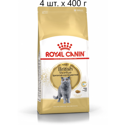      Royal Canin British Shorthair Adult,      , 4 .  400 ,  