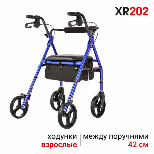     Ortonica XR 202            06-10-05   -     , -  