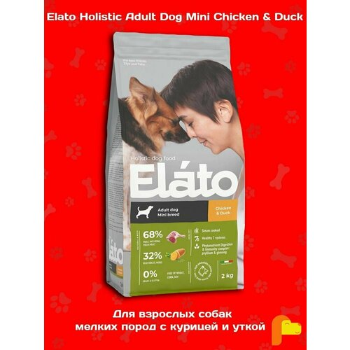  Elato Holistic          , 2   -     , -  