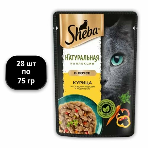  (28 .) 75 , Sheba,  ,  ,  ,         -     , -  