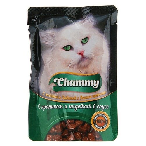  CHAMMY          85  (85   24 )   -     , -,   