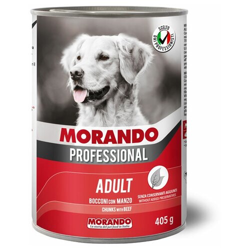  Morando Professional    (0.405 ) (6 )   -     , -,   