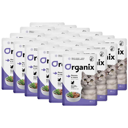  Organix -    ,     85 pp42764.1  25    -     , -,   