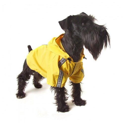 ���� ���� ��� ����� �� ���������������� ������� PUPPIA 