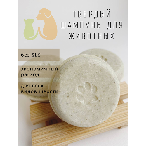 ���� ������� ������� ��� ��������, ��� �����, ��� �����, �����������, ��� ����� � ������, ��� ����� ���, ���, ������ ������