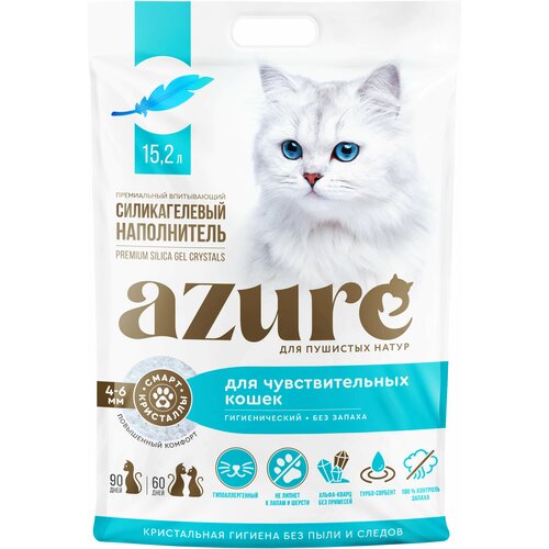   Azure    , , ,   ,   15,2 .   -     , -  