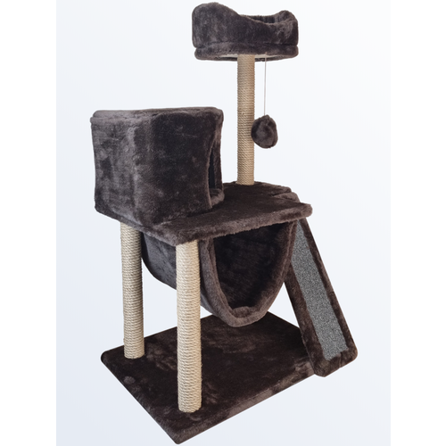 ���� ������� �������� 