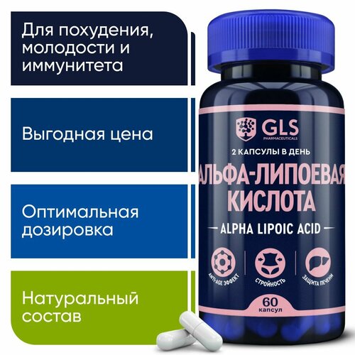     / Alpha Lipoic 100 ,     ,     , 60    -     , -  