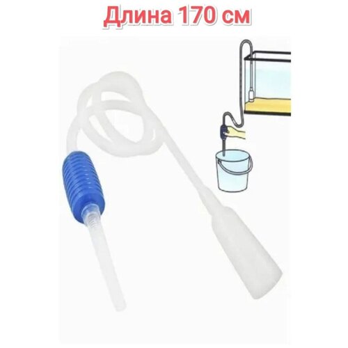 ���� ����� ��� ��������� � ������ 170 �� ����������������, ������ ������