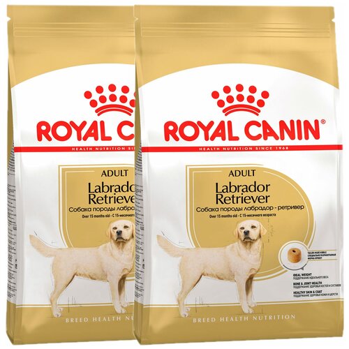  ROYAL CANIN LABRADOR RETRIEVER ADULT      (3 + 3 )   -     , -  