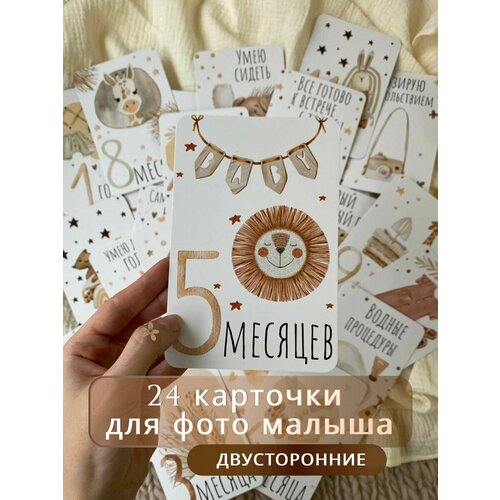 ���� ����� �������� ��� ���������� �������������� ������, 24 ��, �������������, ���� ��� ����������� �������, ������ ������