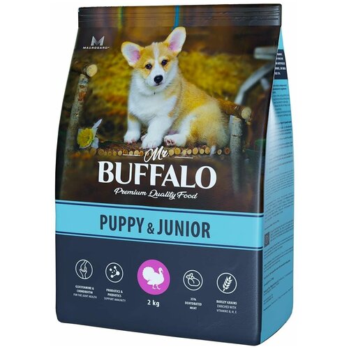        Mr.BUFFALO Puppy & Junior   1 .  1 .  2000    -     , -  