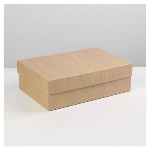 ���� 7302878 ������� �������� ��������� 30*20*9 ��, ������ ������