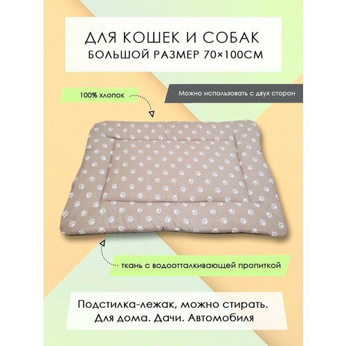 ���� ���������-����� ��� �����/����� 