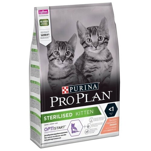    Pro Plan   , , 3    -     , -,   