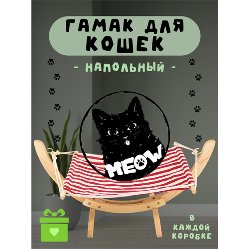 ���� ����� ��� ����� ��������� ������� ��� ���� �� ��� �� ������ � �����, ������ ������