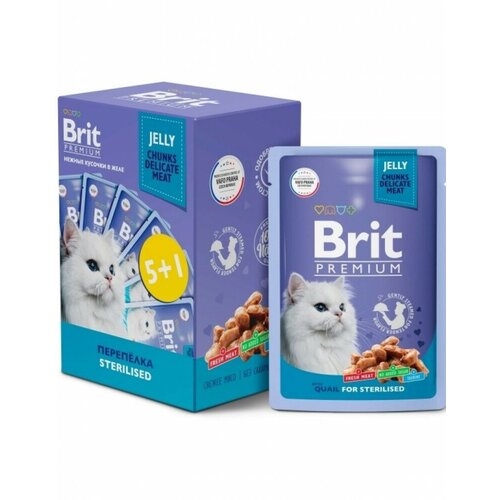   Brit Premium - 5+1    ,   , 85   -     , -,   