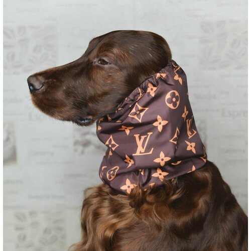 ���� ������������� ����� - ���� ��� ����� ������� �����, ������ ������