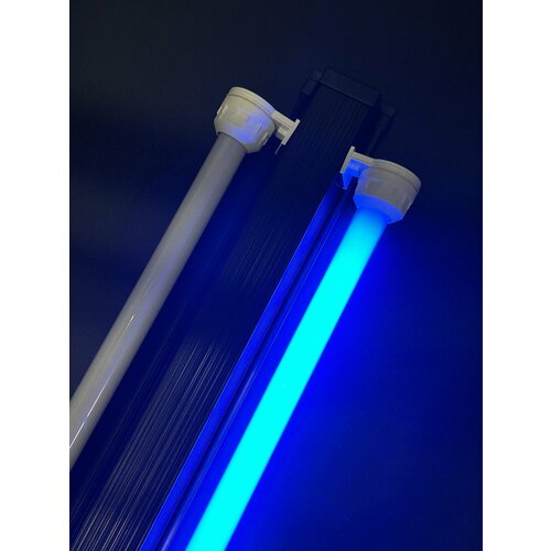   8 30W (893 ) Blue Lamp  /    ,  ,  ,    -     , -  