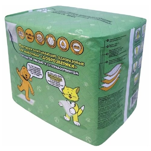 ���� �������� 