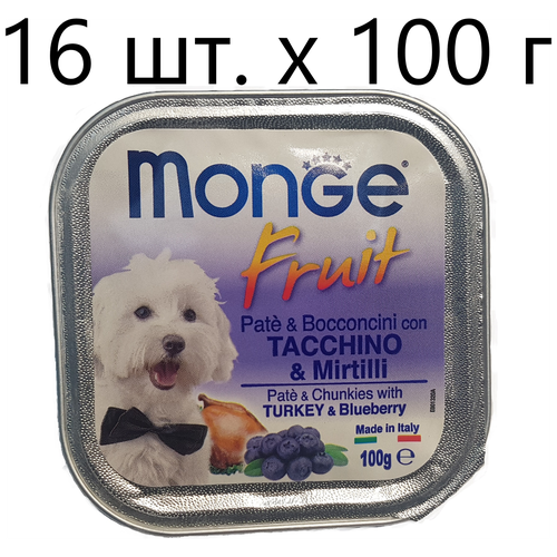      Monge Fruit, ,   1 .  16 .  100    -     , -  