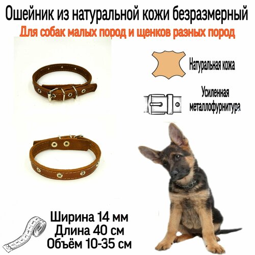 ���� ������� �� ����������� ���� ��� ����� ������ ����� � ������ ���� ����� �����. ������ 14��. ����� 10-35 ��. ����������., ������ ������