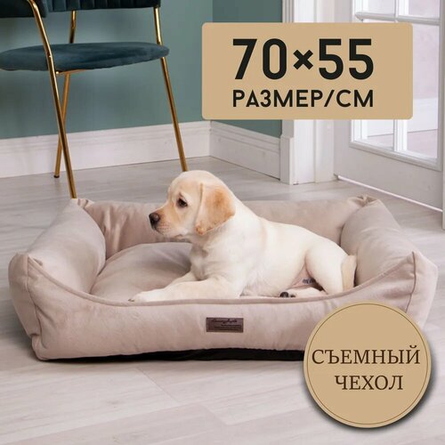 ���� ������� ��� ����� � ����� �� ������� ������, �������, �����, ������ ������