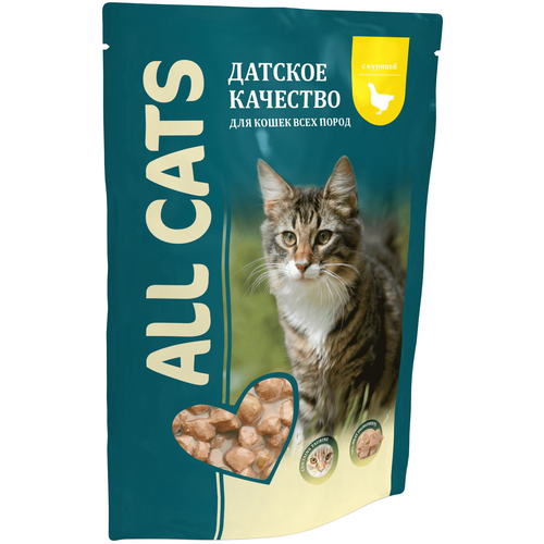  ALL CATS         85   -     , -,   