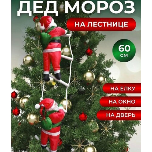 ���� ���������� ����������� ��� ����� �� �������� , ���������� ��������� �� ����, �����, ����, ����� 2025 ���,60 ��, ������ ������