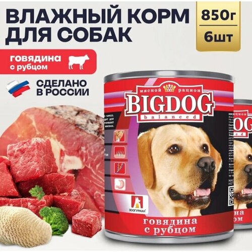     Big Dog      , 6  850   -     , -  