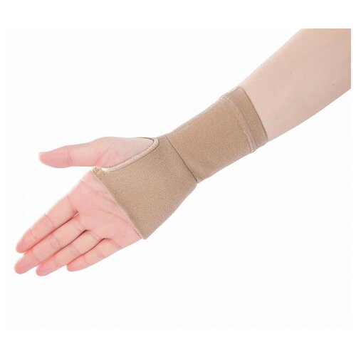  ALMED     Compression 2,  S,    -     , -  