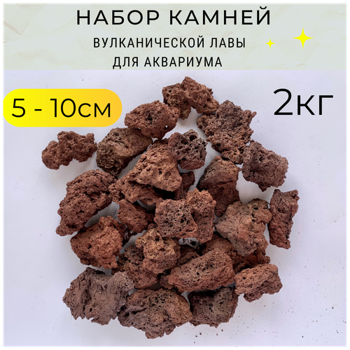 ���� ����� ������������� ���� 5-10��, 2��, ������ ������