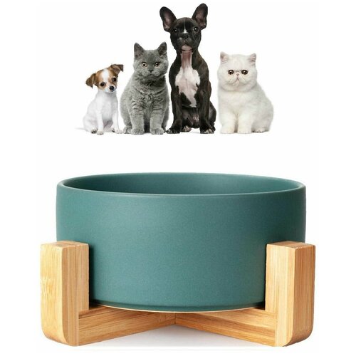 ���� ����� ������������ ��� �������� �� ���������� ���������, 850 ��, ������ ������