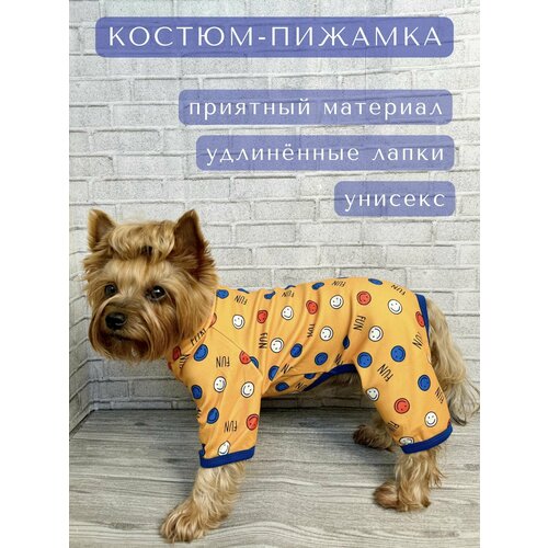 ���� ������-������ ��� ������ � ������� ����� ����� / ������ XXL / ��������-�����, ������ ������