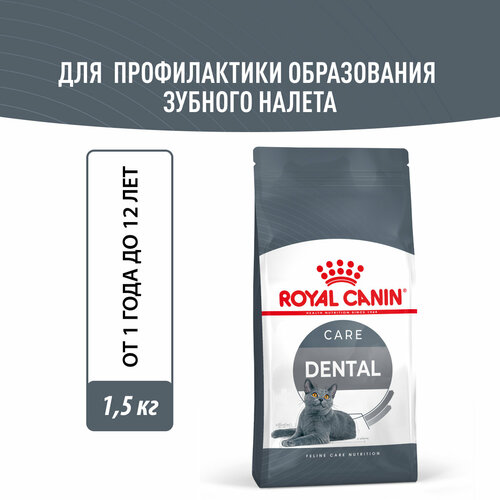      Royal Canin Dental Care ( )         , 1,5    -     , -  