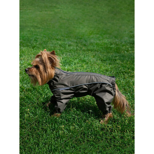 ���� ���������� ��� ����� �.35-1 (������) ��������, ����, ������ ������