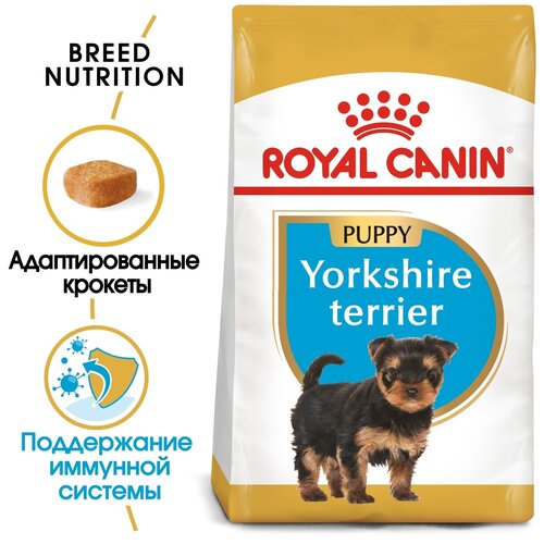      Royal Canin   1 .  2 .  500  (  )   -     , -  