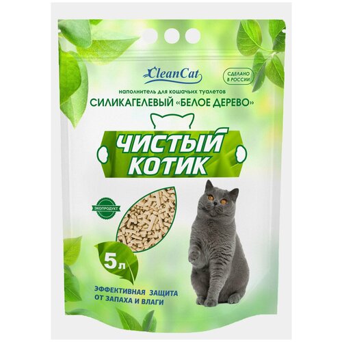 ���� ����������� ����������� ������ ����� ����� ������, 5�, 1 ��., ������ ������