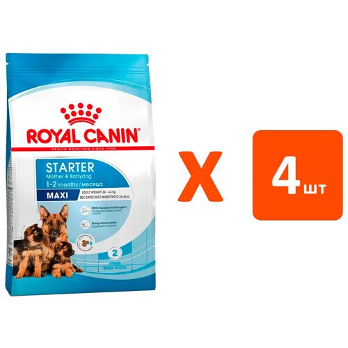  ROYAL CANIN MAXI STARTER      2 ,     (4   4 )   -     , -  