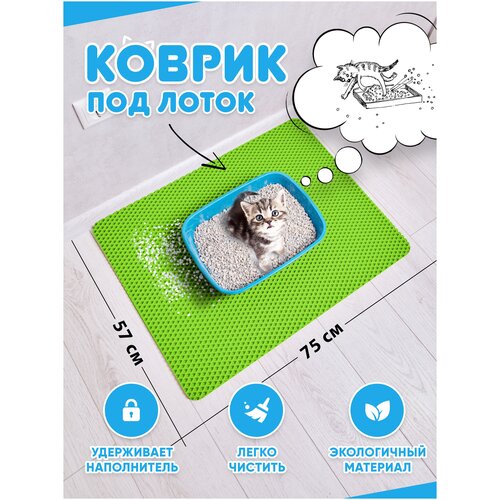 ���� ������ ��� ����� ��� �����/������ ��� ����� ��� ����� / ������ ��� ����� / ������ ��� ������� (���������) 75*57��, ������ ������