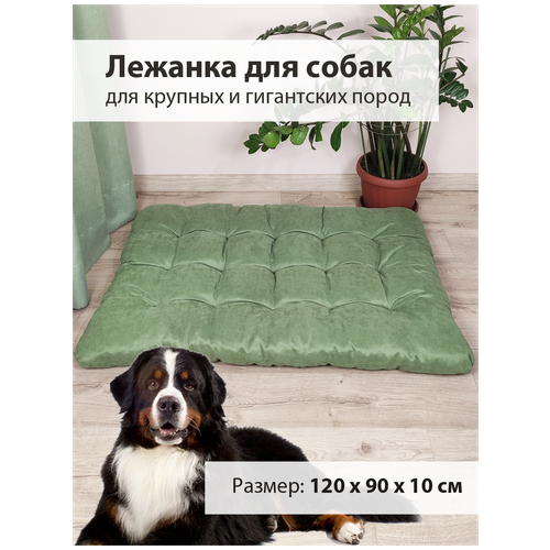 ���� ������� - ������ ��� ����� ������� � ������� ����� Graff (120 � 90 ��), ������ ������