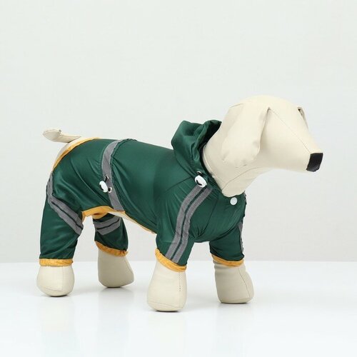 ���� ���������� ��� �����, ������������ � ���������, ������ L, ������ ������