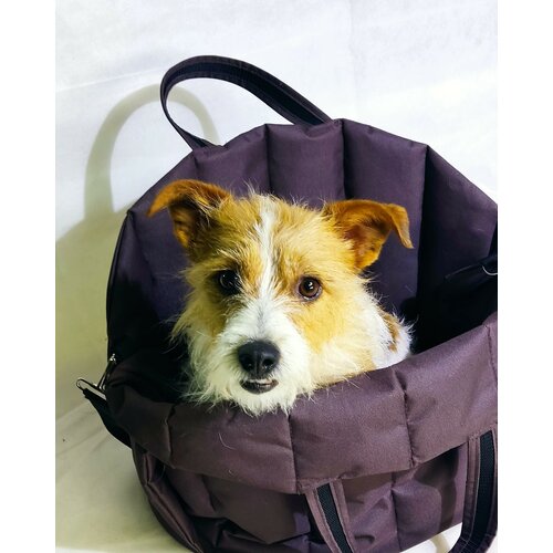 ���� ����� ���������-���������� ��� �����, ������ 45*32*35 , ���� �������, ������ ������