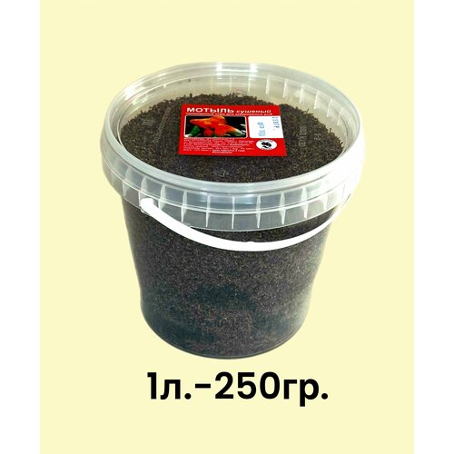 ���� ������ ��������, ���� ��� ����������� ��� � ��������, 1�., ������ ������