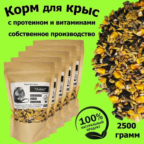 ���� ���� 