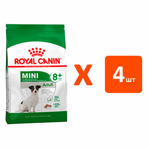  ROYAL CANIN MINI ADULT 8+       8  2   4    -     , -  