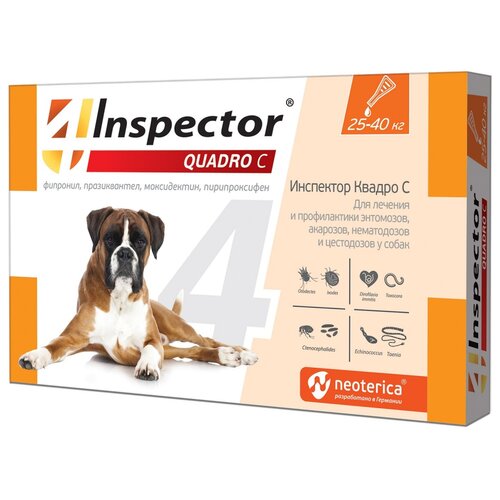 INSPECTOR   25-40  Quadro       (0.1 )   -     , -,   