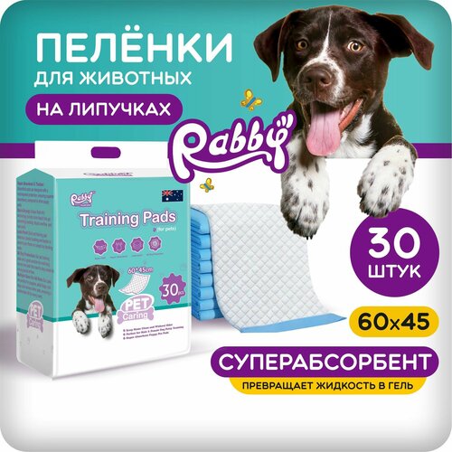      RABBY 60x45   30   -     , -  