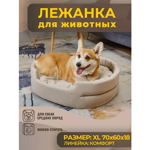 ���� ������� ��� ����� � ����� ������� ����� �� �������, ������ ������